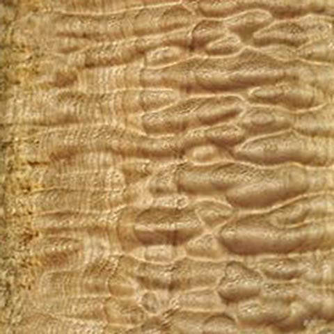 Maple, Quilted - 4/4,& 8/4 (when available)