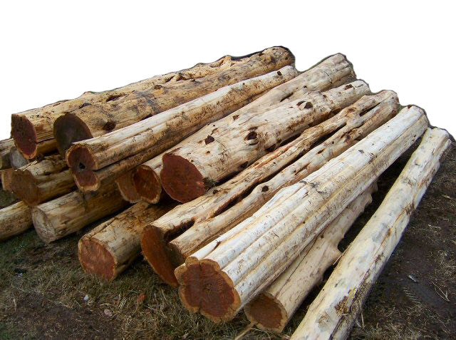 Cedar Log Posts