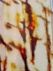 1911 Full Size HD / UV Image Grips - Mammoth Tusk - Printed over ABS - WoodWorld of Texas