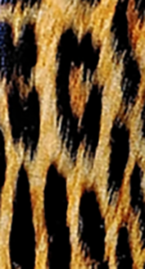 1911 Full Size Grips - UV / HD Image Printed - Leopard - WoodWorld of Texas