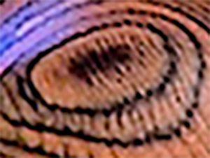 *Bond Arms Derringer XL Grips G Monster Rosewood- XL - WoodWorld of Texas