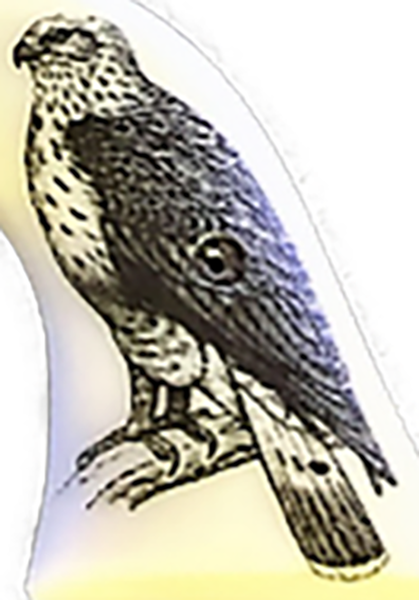 Ruger - Wrangler Model - Flag - UV/HD Printed Dead Scrimshaw Hawk Image on solid ABS Grips (Copy)