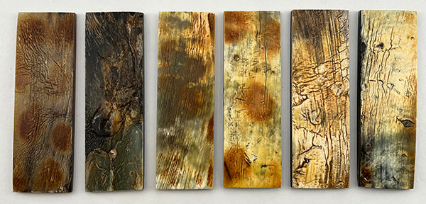 Zebu Bone Natural  Bark Blonde Scales - 1/4" X 1.5:" X.25"