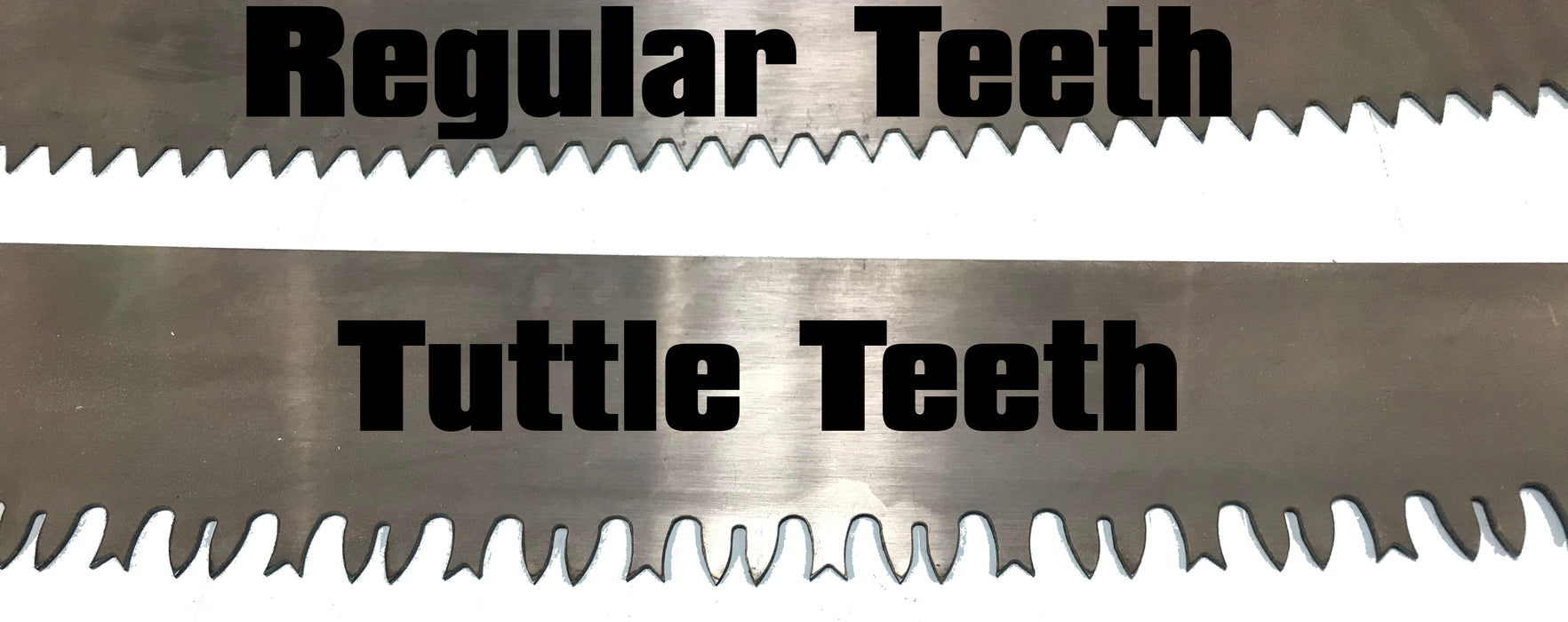 2 - 60" German Made Two-Man Crosscut Saw - Regular Teeth  and Tuttle Tooth