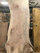 Spalted Curly Beech Natural Edge Slab  79"  Long  2.25" max Thickness 28 - 36" Wide - WoodWorld of Texas